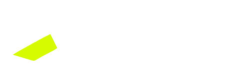 welizo logo